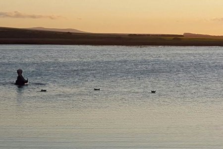 Gansbaai Braaing for the Agulhas Plains rich biodiversity 2